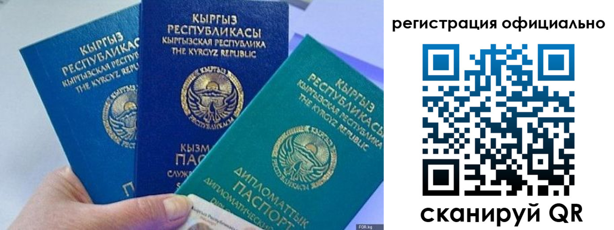 прописка в Талице